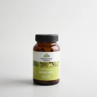Amalaki - Herbal Supplement 90 Capsules